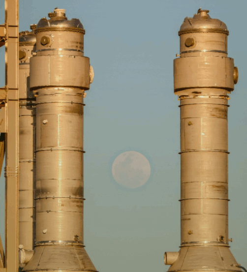 Imagem: Divulgação 