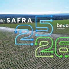 Saiba como foi a safra 2025/26 da Bevap