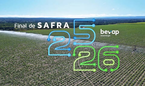 Saiba como foi a safra 2025/26 da Bevap