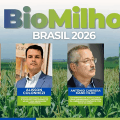 O etanol de milho vai redesenhar o mapa bioenergético do Brasil?