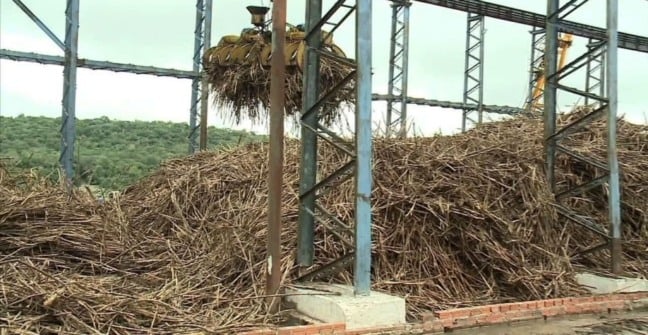 Saiba como vai a safra 2025/26 nas usinas de Alagoas