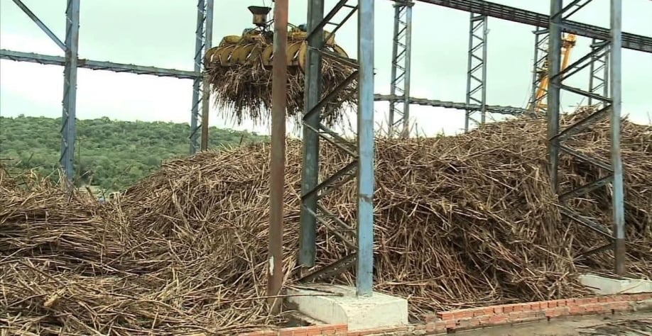 Saiba como vai a safra 2025/26 nas usinas de Alagoas