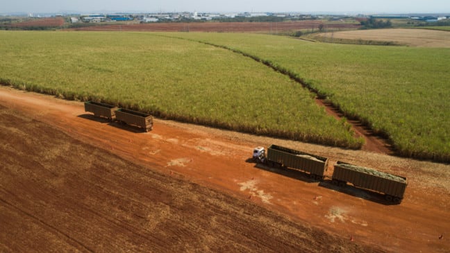 A operação envolve cerca de 750 caminhões no transporte de cana, com previsão de transportar 45 milhões de toneladas até o final da safra