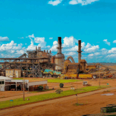 Umoe Bioenergy divulga resultados da safra; saiba aqui