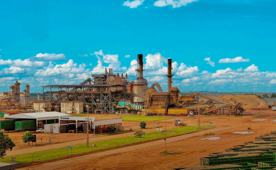 Umoe Bioenergy divulga resultados da safra; saiba aqui