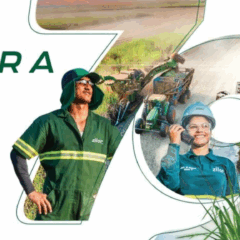 Saiba 5 destaques da safra 2025/26 da Zilor