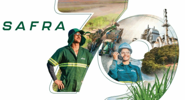 Saiba 5 destaques da safra 2025/26 da Zilor