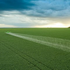 Imagem: Divulga&ccedil;&atilde;o 