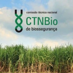 Imagem: Divulgação