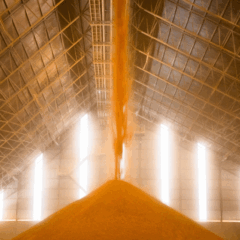 Imagem: Unem/Divulga&ccedil;&atilde;o 