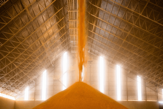 Imagem: Unem/Divulgação 