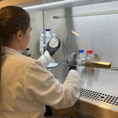 Levedura pode ser utilizada em produ&ccedil;&atilde;o de etanol (Foto: Bruna Fernande e Mariane Daniella da Silva)