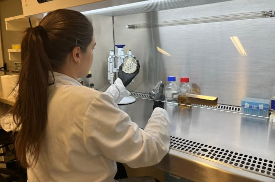 Levedura pode ser utilizada em produção de etanol (Foto: Bruna Fernande e Mariane Daniella da Silva)