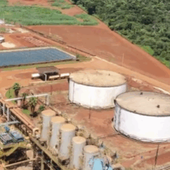 Usinova divulga moagem da safra 2025/26