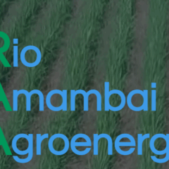 Rio Amambai Agroenergia divulga moagem da safra 2025/26
