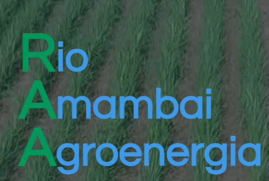 Rio Amambai Agroenergia divulga moagem da safra 2025/26