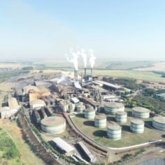 Marca da Colombo Agroind&uacute;stria lidera mercado nacional