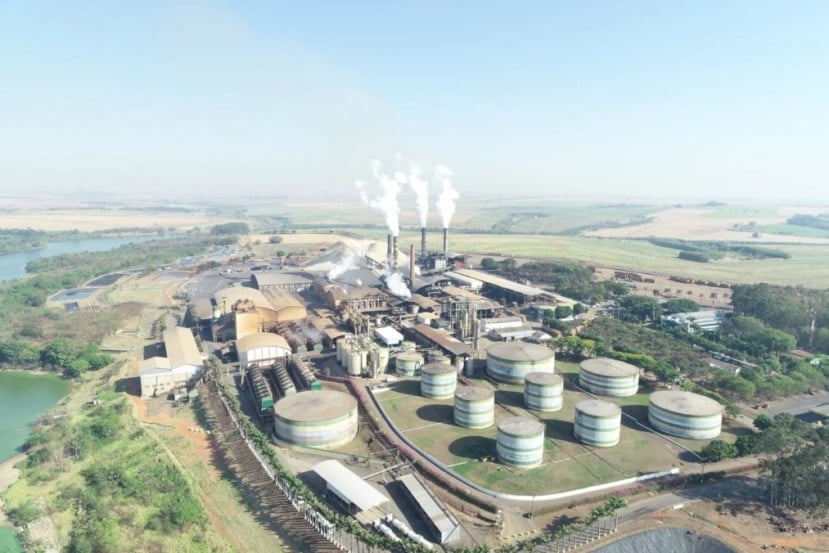 Marca da Colombo Agroindústria lidera mercado nacional