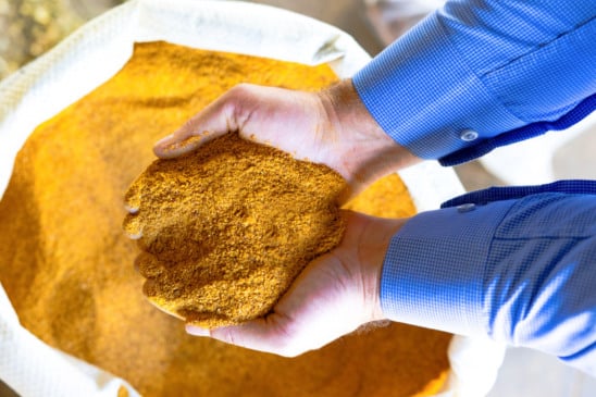 Imagem: Divulgação