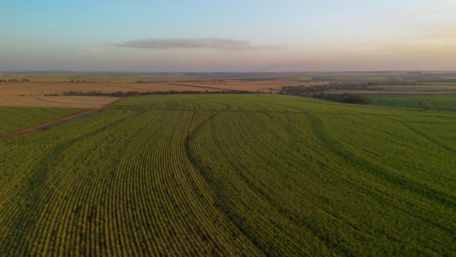 Tereos recebe certificação Regenagri e se torna a 2ª do setor reconhecida por práticas de agricultura regenerativa
