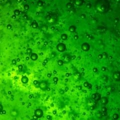 23/06 é o último dia para submeter carta de intenção (imagem: Wirestock/Freepik)