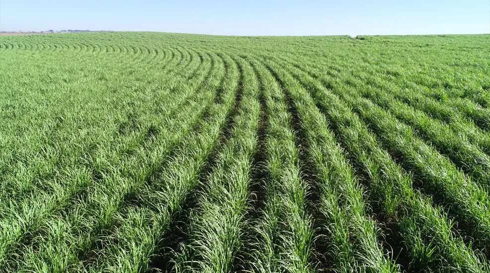 Cocal divulga ata de assembleia extraordinária; leia aqui Cocal divulga ata de assembleia extraordinária; leia aqui