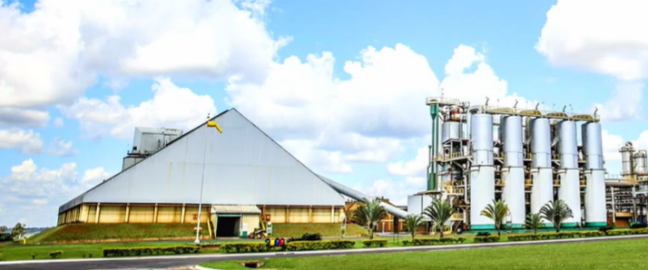 Webinar apresenta detalhes do 3º tri da safra da CMAA; assista aqui