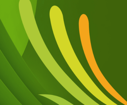 CTNBio se manifesta sobre cana geneticamente modificada do CTC