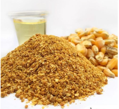 Sabia? Os EUA vendem DDGS com tarifas preferenciais para a Índia