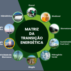 Por que a biomassa &eacute; t&atilde;o estrat&eacute;gica para as fontes de energias renov&aacute;veis