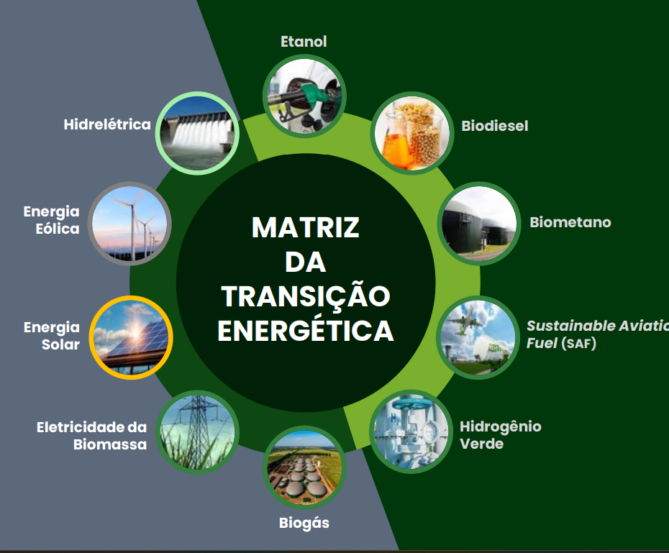 Biomassa ajuda a dominar as fontes de energias renováveis, revela estudo