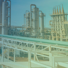 Por que a moagem da São Martinho recuou 0,5% ante a safra anterior