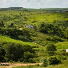 Terreno rural est&aacute; localizado na Zona da Mata de Pernambuco - Foto: Divulga&ccedil;&atilde;o/ Minist&eacute;rio P&uacute;blico de Pernambuco