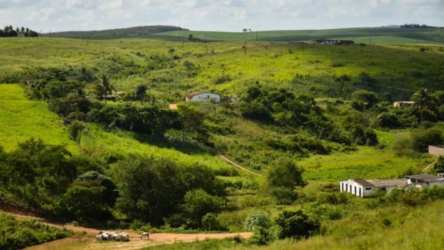 Terreno rural está localizado na Zona da Mata de Pernambuco - Foto: Divulgação/ Ministério Público de Pernambuco